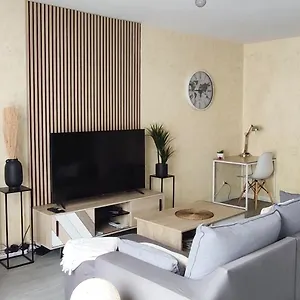 Appartement Les Allées Du Château, Proche Lyon Eurexpo Stade
